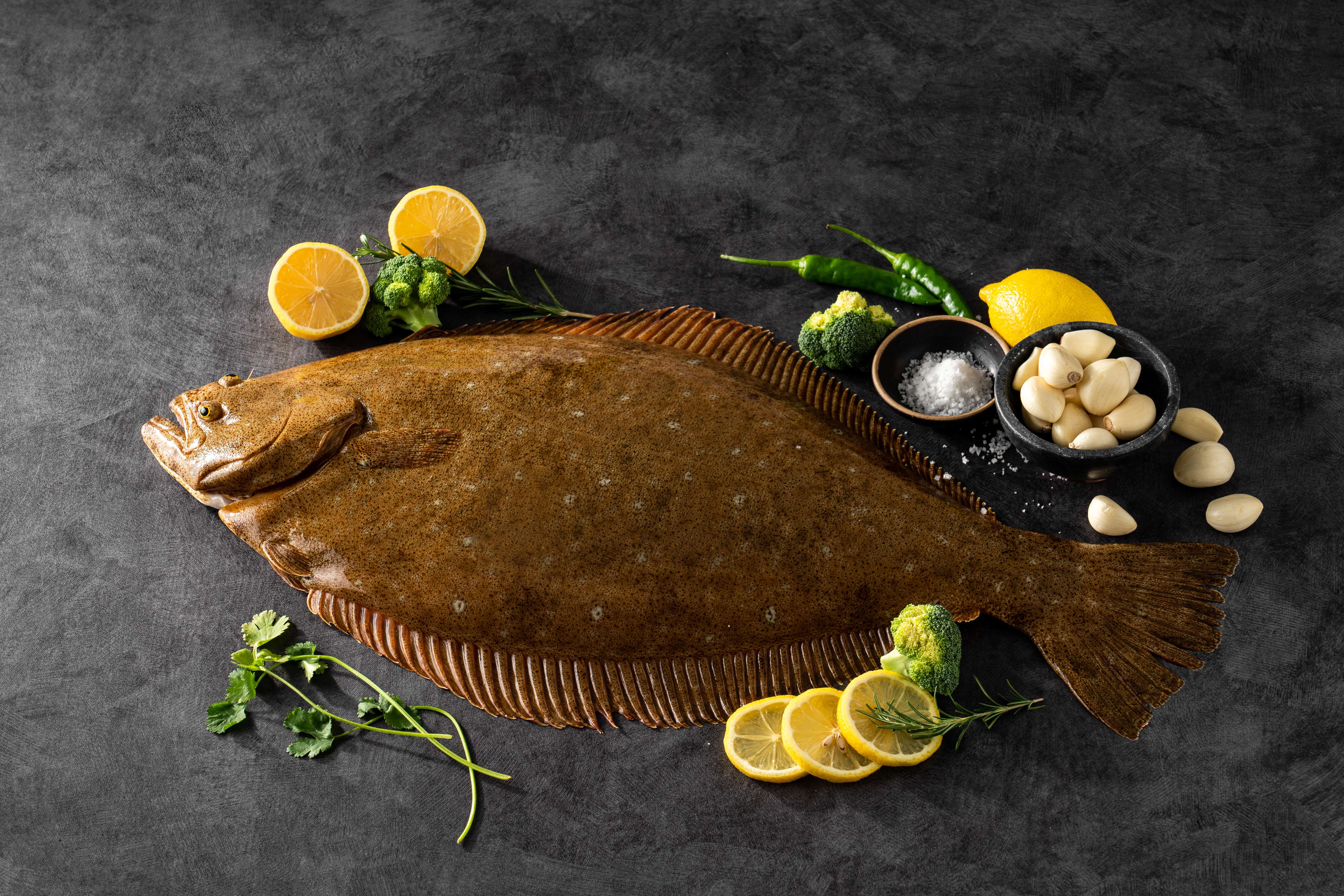 Live Flounder