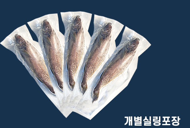 semi-dried croaker (the whole fish)