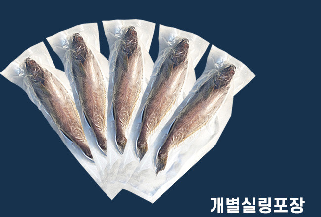 반건조민어 통민어