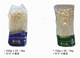 enoki mushroom