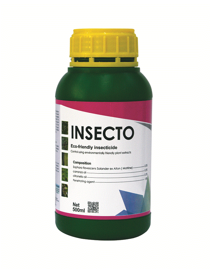 INSECTO