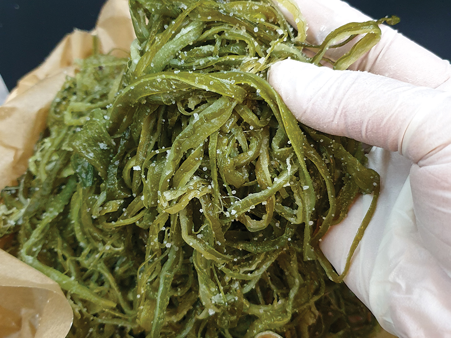 Salted seaweed stem 10kg