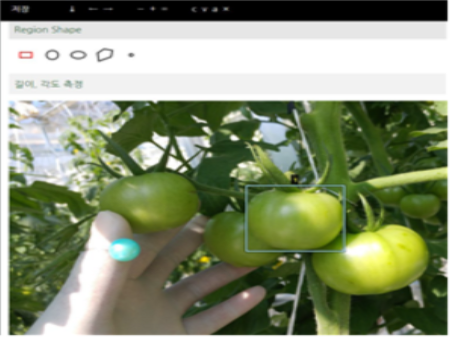 Crop growth prediction decision support system