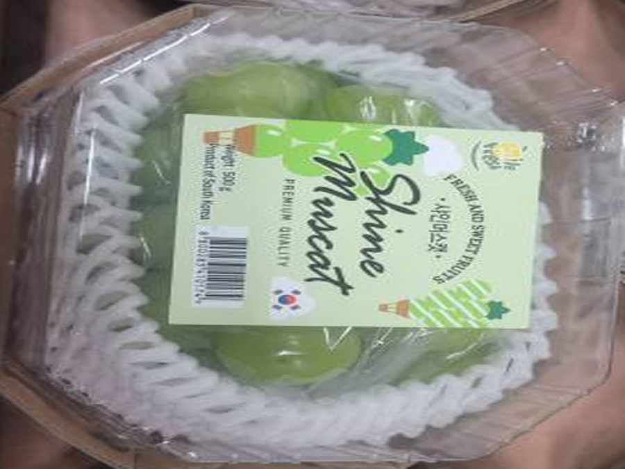 KOREAN SHINE MUSCAT GRAPE