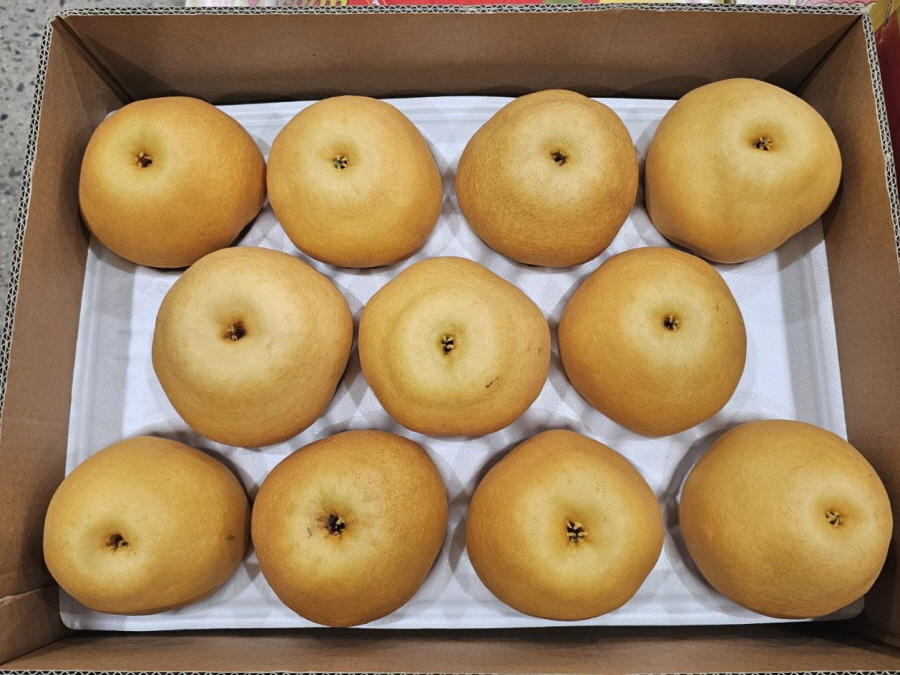 신고배