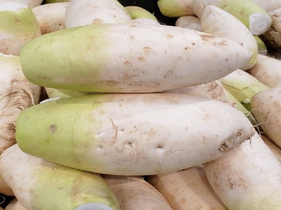 Radish